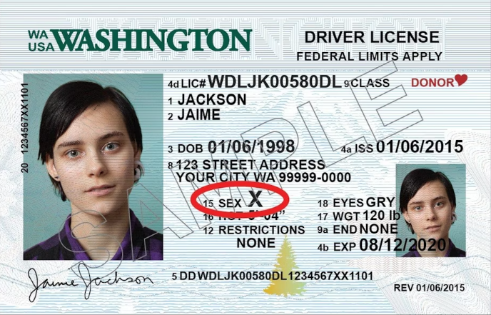 Washington Drivers License with X gender marker
